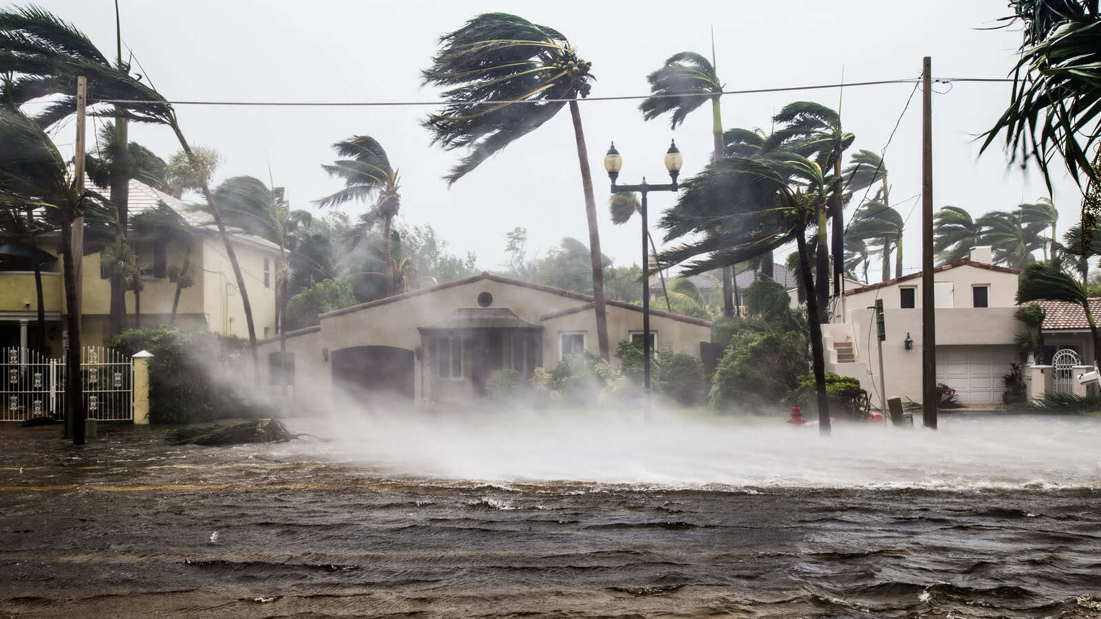 hurricane-impacts-taxes